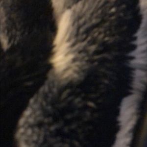 Meet your Posher, Shana